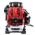   Vitals Professional LP 76120-4t